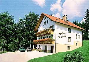 Pension U c�sa��