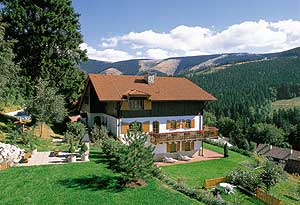 Pension Rosa
